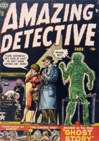Amazing Detective Cases 13