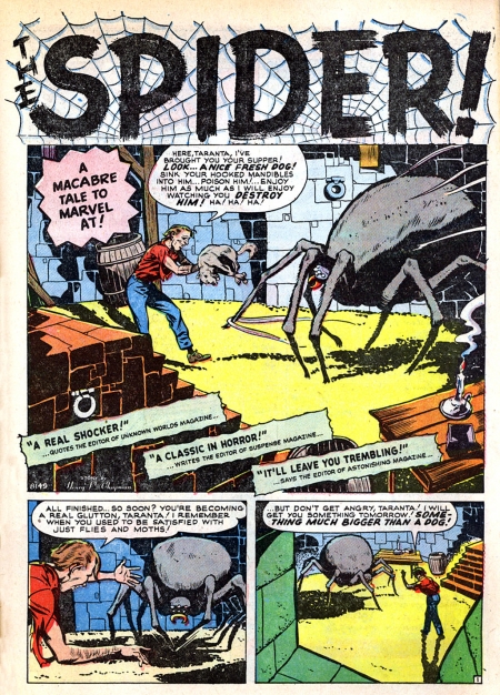 8149 The Spider story scan