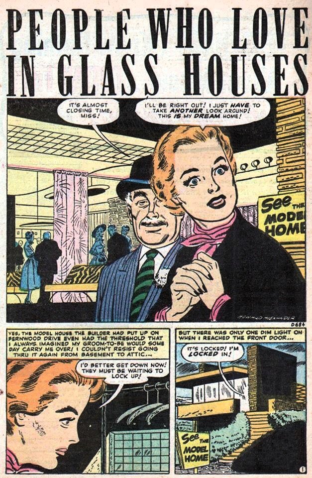 D-684 People Who Love In Glass Houses Page 1