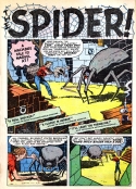 8149 The Spider