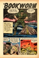 B-159 The Bookworm