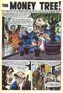 E-664 The Money Tree!