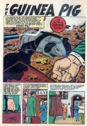 9426 The Guinea Pig